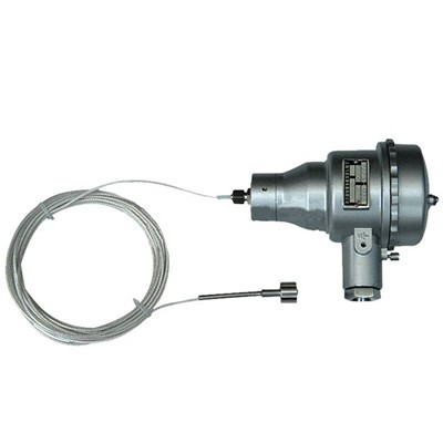 Explosionssäker-RTD